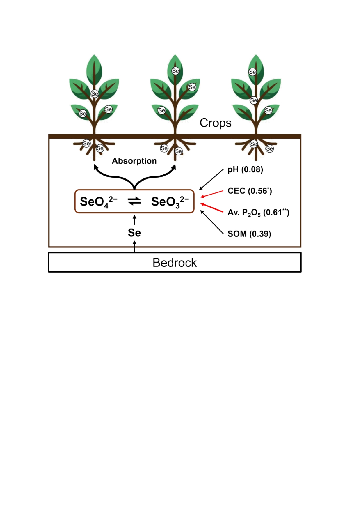 AST-2024-019_R1_P_Graphical Abstract_001_page-0001.jpg